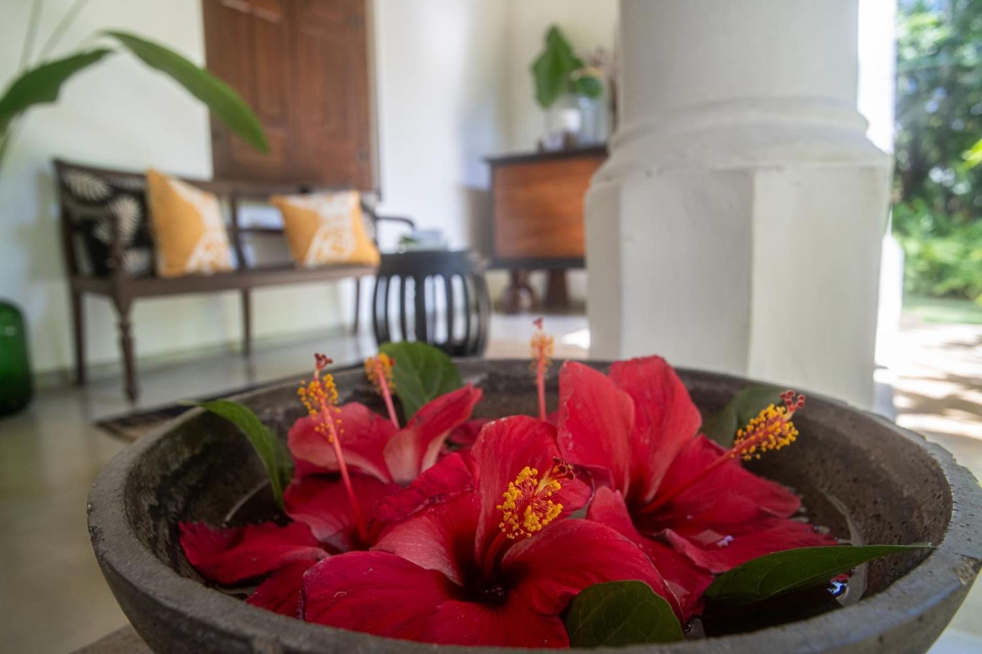 Mo River House Luxury Villa Hikkaduwa Extérieur photo