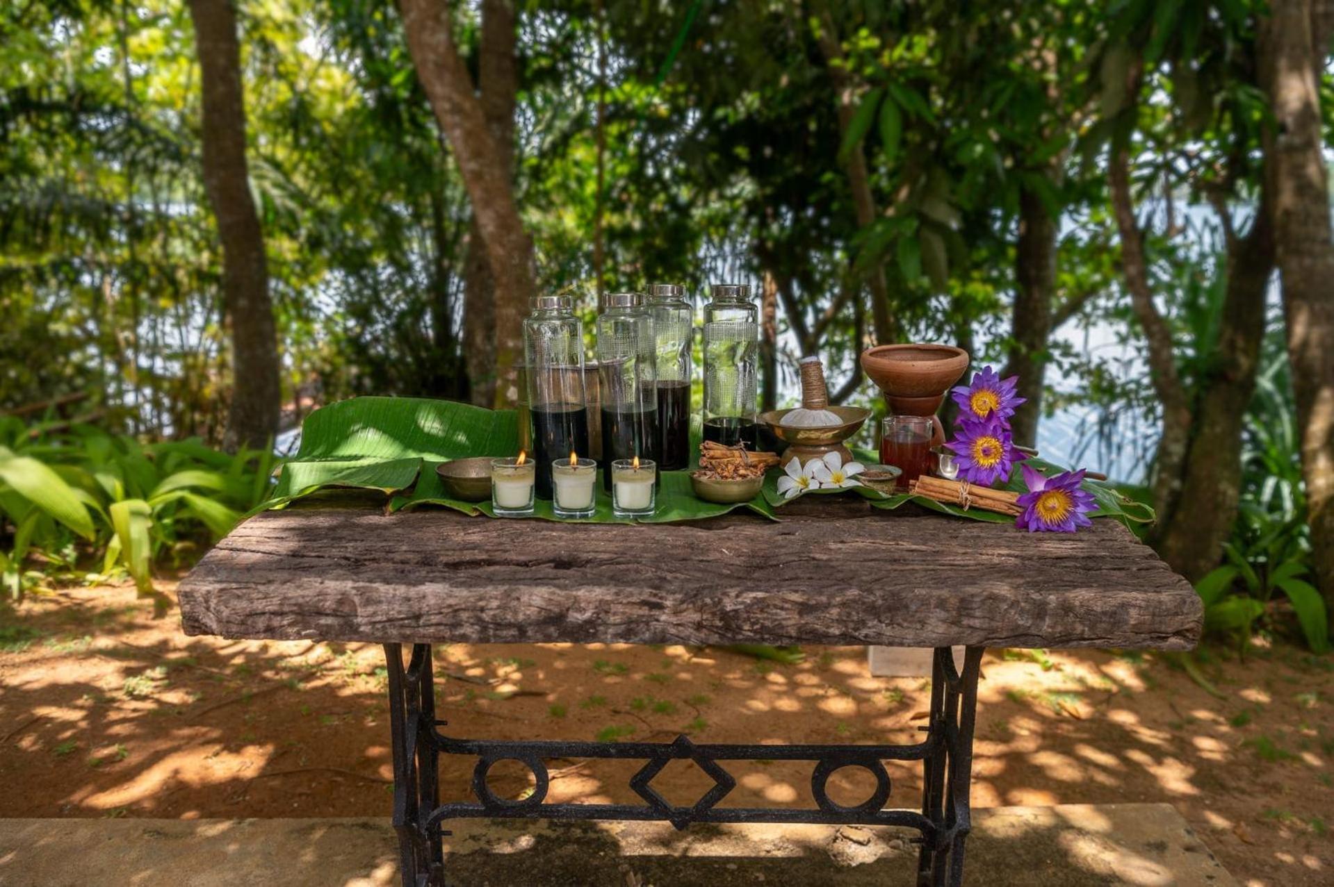 Mo River House Luxury Villa Hikkaduwa Extérieur photo